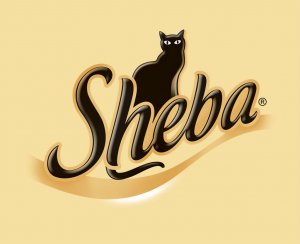 Sheba 